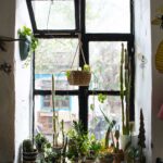 Почему немцы не вешают шторы на окна