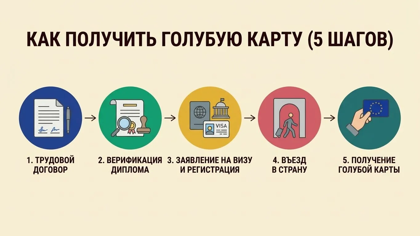 Как получить голубую карту ЕС